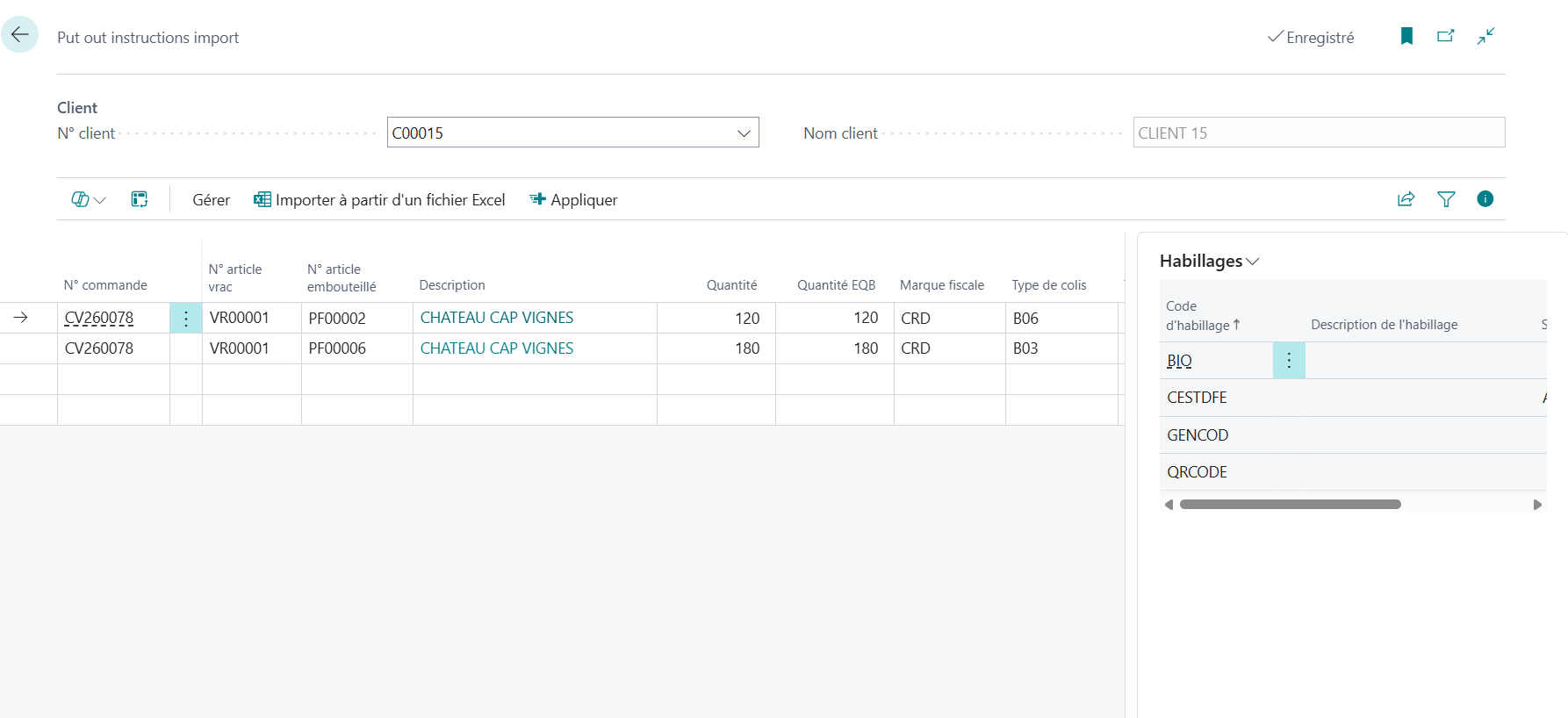Page d'import avec le client, l'action d'import Excel et les lignes chargées.